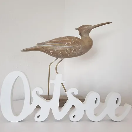 Modernes Ostseesegler Mit Direktem Meerblick An Der Ostsee